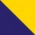 Navy / Gold
